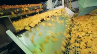 Kızarmış patates cipsi taşıyıcı düşer. Patates cipsi üretim hattı.