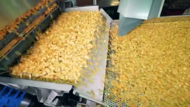 Un montón de patatas fritas se mueven a lo largo del transportador. Producción de patatas fritas . — Vídeos de Stock