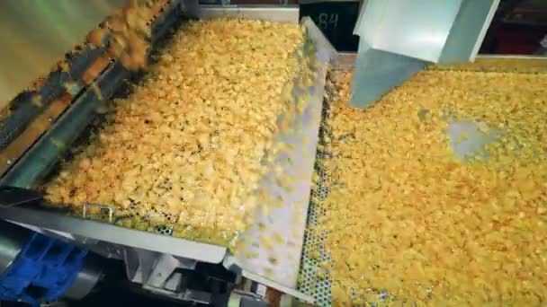 Potato chips production. Factory transporter is relocating potato crisps — Stock Video