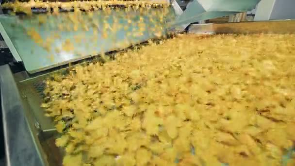 Kartoffelchips bewegen sich entlang des Transporters. Kartoffelchips-Produktion. — Stockvideo
