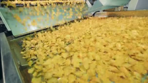 Las papas fritas se mueven a lo largo del transportador. Producción de patatas fritas . — Vídeos de Stock