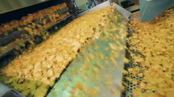 Mechanische transport van chips. Potato chips productielijn. — Stockvideo