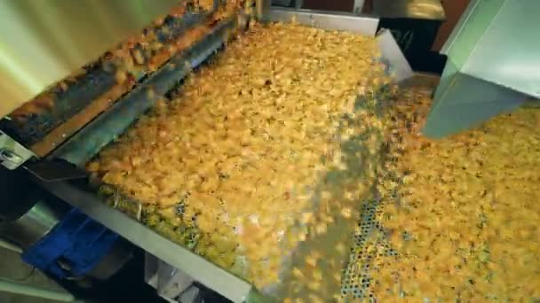 Куски картофельных закусок перемещаются заводским оборудованием — стоковое видео