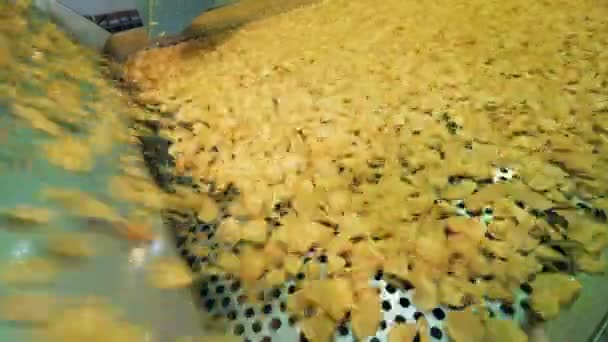 Fabriken maskin flyttar stekt potatis bitar. Potatischips produktionslinje. — Stockvideo