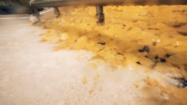 Crisps are moving through foamy liquid while being produced — Stock Video