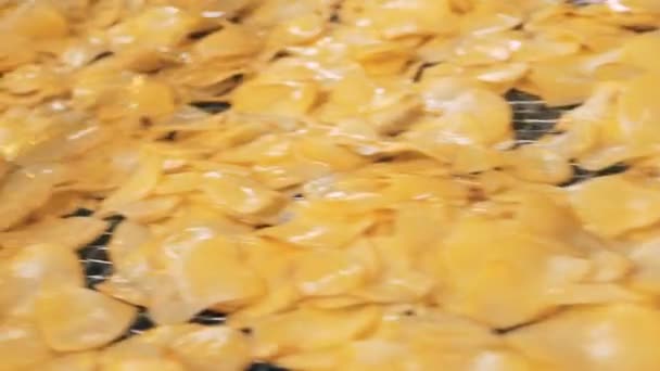 Картофельные чипсы движутся вдоль конвейерной ленты — стоковое видео