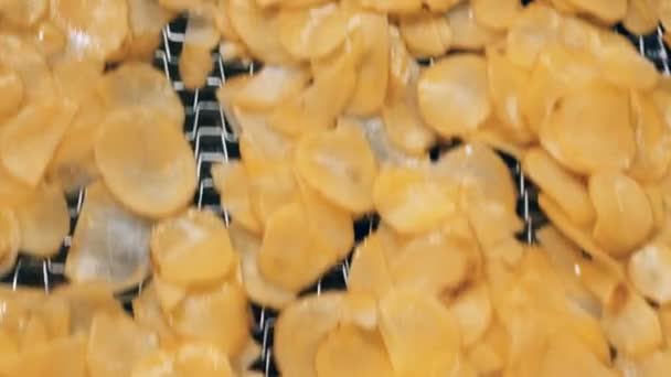 Vista superior de las patatas fritas aceitadas que se mueven a lo largo del mecanismo — Vídeos de Stock