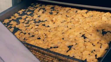 Kızarmış ve yağlı patates aperatifler ışınlama hareket ediyor