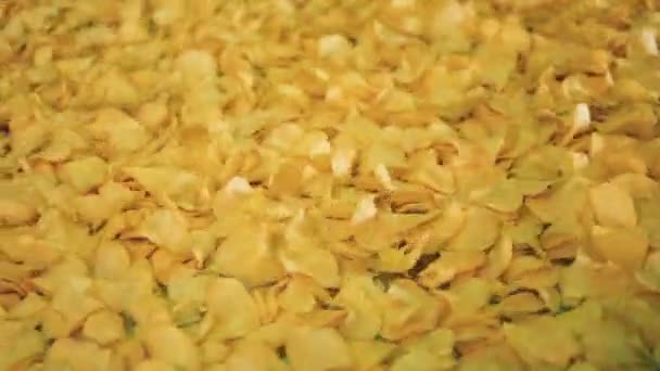 Secouer les croustilles de pomme de terre se déplacent le long du mécanisme. Ligne de production de chips de pomme de terre . — Video