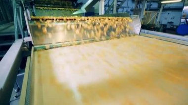 Sarı cips gıda tesiste taşıma fabrika konveyör.