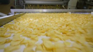 Bir fabrikada modern bir satırındaki kızarmış cips.