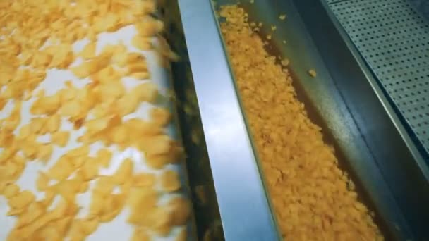 Gula chips faller från en transportör på en matfabriken. — Stockvideo