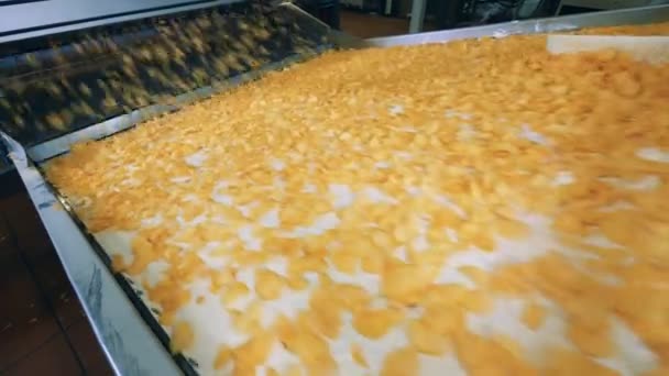 Свежие чипы на современном конвейере в пищевой промышленности . — стоковое видео