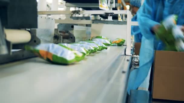 Fabrikarbeiter legen Säcke mit Chips in eine Schachtel vom Band. — Stockvideo