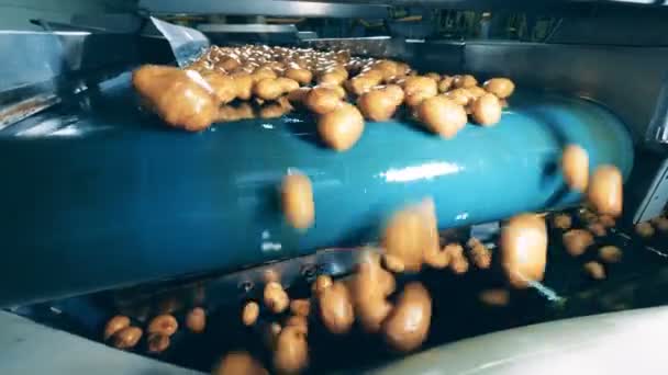 Batatas lavadas transportadas em um transportador moderno em uma fábrica, caindo dele . — Vídeo de Stock