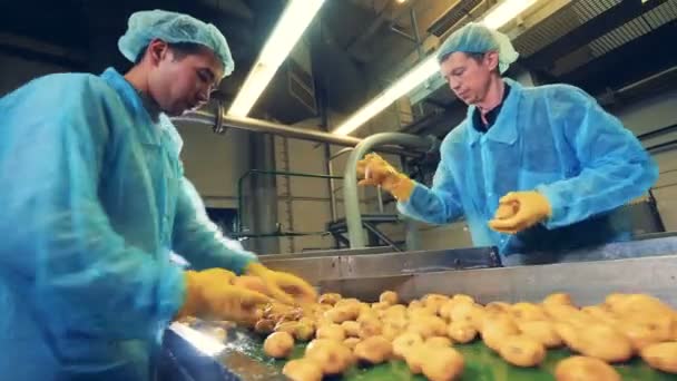 在一家食品厂, 男人们在现代化的传送带上切土豆. — 图库视频影像