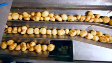 Konveyör sıralama soyulmuş patates gıda fabrikasında taşır.