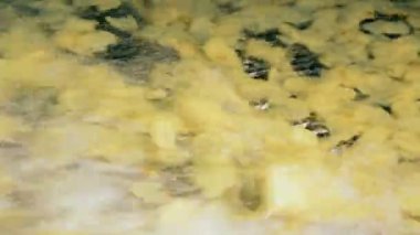 Sarı patates cipsi kesmek sonra üzerinde metal bir konveyör taşıma.