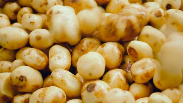Patatas peladas que caen en un recipiente de almacenamiento en una instalación alimentaria . — Vídeos de Stock