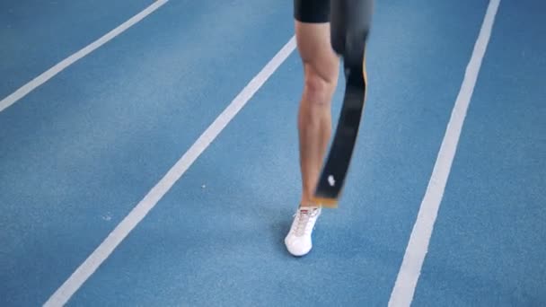 Un corredor se calienta en una pista, usando prótesis de pierna . — Vídeos de Stock