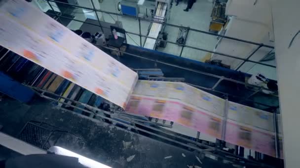 Ovanifrån färska tryckt papper som rör sig genom industriella maskinen — Stockvideo