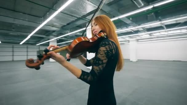 Musicista professionista suona il violino, in piedi da solo in una stanza . — Video Stock