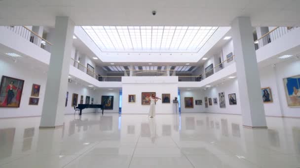 Femme joue du violon en bois dans une grande salle du musée . — Video