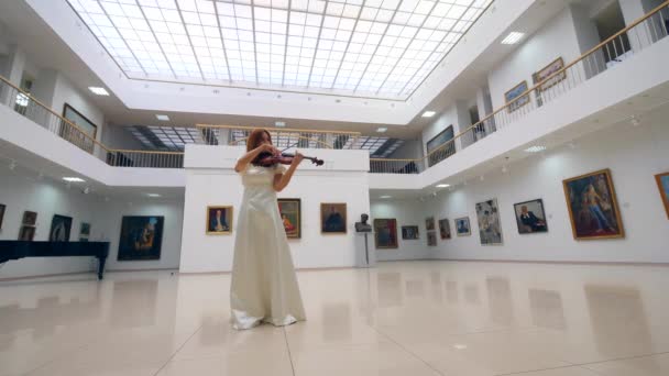 One woman plays violin alone, while standing in a room with paintings on walls. — Stock Video