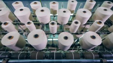 Beyaz dişler üzerinde iplik ile dikiş makaraları. Tekstil fabrikası donanımları.