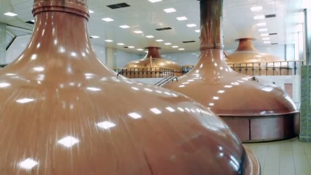 Många containrar med öl som placeras i ett rum på ett bryggeri. — Stockvideo