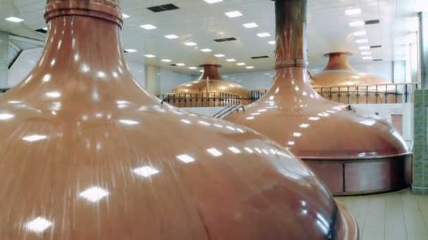 Muchos contenedores con cerveza colocados en una habitación en una cervecería . — Vídeo de stock