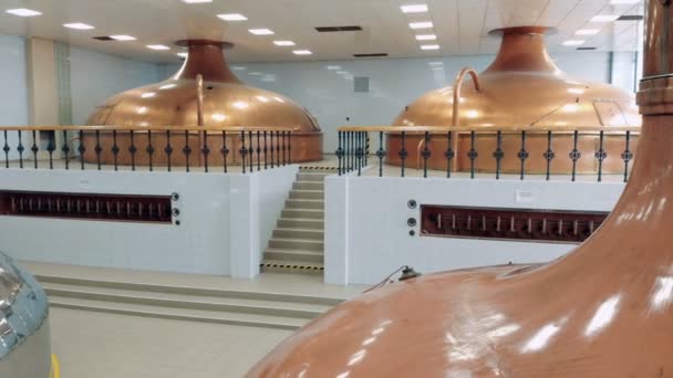 Recipientes com cerveja em uma fábrica de álcool . — Vídeo de Stock