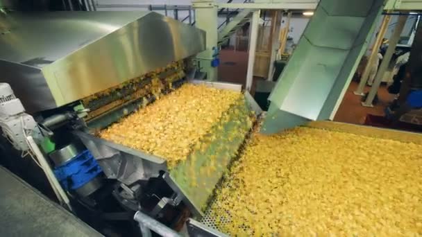 Νωπού chips επί ένα σύγχρονο μεταφορέα σε ένα εργοστάσιο τροφίμων. — Αρχείο Βίντεο