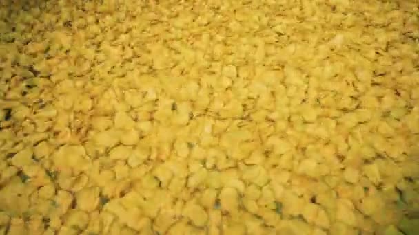 Yellow chips cooked at a food factory, moving on a long conveyor. — Stock Video