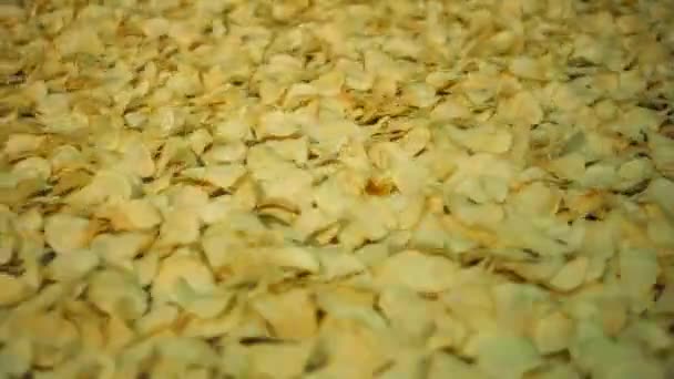 Chipsy ziemniaczane, poruszających się na przenośnik roślin po smażeniu. — Wideo stockowe