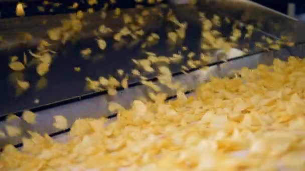 Croustilles frites tombant dans un convoyeur industriel dans une usine . — Video