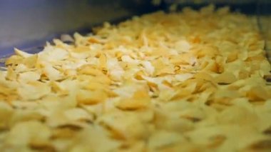 Patates cipsi bir tesiste sıralanmış sanayi konveyör taşıma.