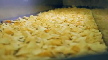 Kızarmış cips gıda üretim tesislerinde bir tesis satırındaki taşıma.
