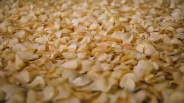 Banyak keripik kentang bergerak pada konveyor logam di fasilitas produksi, gerak lambat . — Stok Video