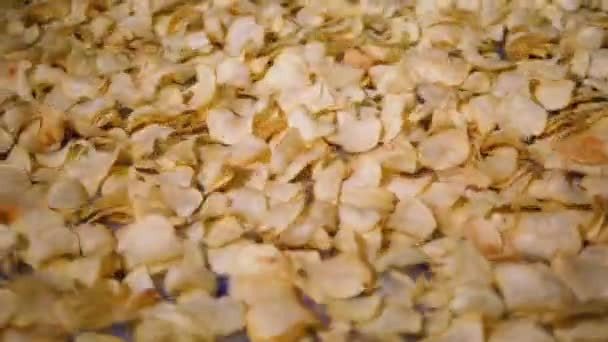 Lebensmittelfabrik Förderband bewegt gebratene Chips in einer speziellen Anlage, Zeitlupe. — Stockvideo