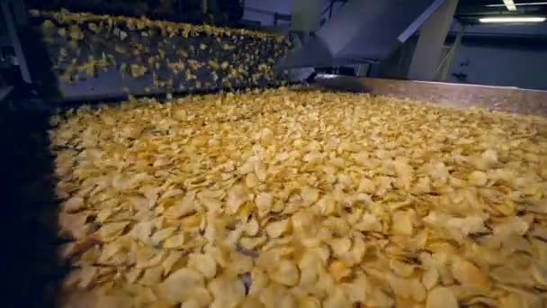 Food plant equipment moves fried potato chips, slow motion. — Stock Video