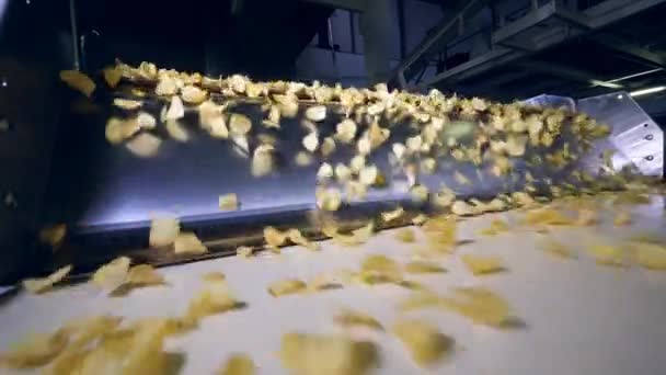 在食品厂用现代输送机运输的油炸薯条, 慢动作. — 图库视频影像