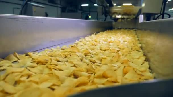 Transportador de fábrica que mueve las virutas fritas después de clasificar, cámara lenta . — Vídeos de Stock
