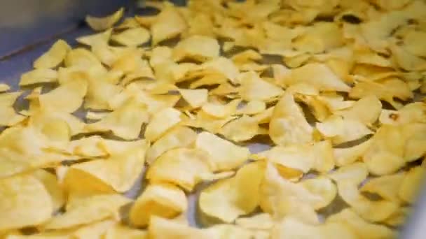 Jede Menge frittierte Chips, die in einer Lebensmittelfabrik auf einer automatisierten Linie transportiert werden. — Stockvideo