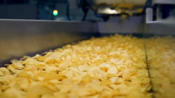 Сортированные чипы движутся по заводской линии в пищевом цехе, замедленная съемка . — стоковое видео