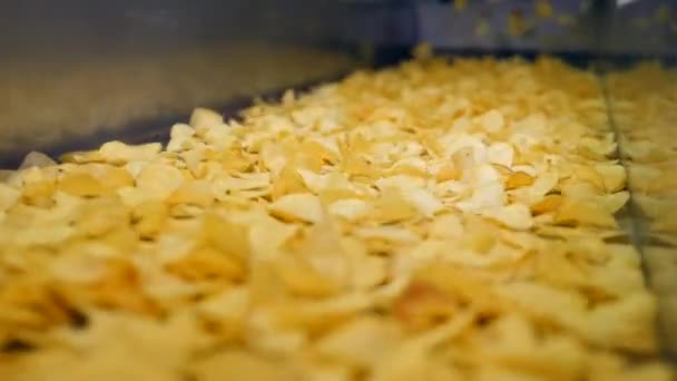 Chip gialli fritti in una struttura alimentare, che si muovono su una linea, al rallentatore . — Video Stock