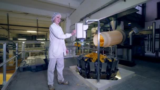 Een persoon werkt met fabriek machine terwijl potato chips op een transportband bewegen. — Stockvideo