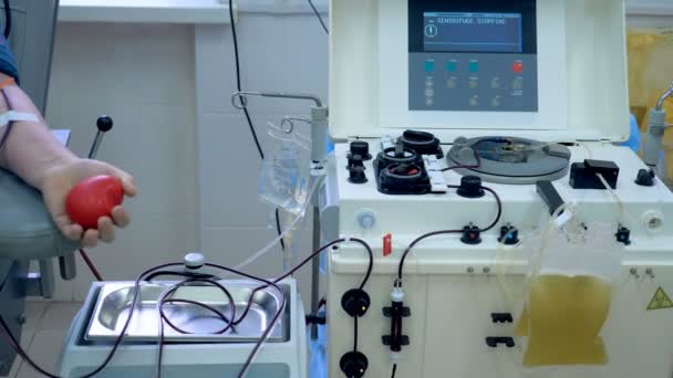 En givare som sitter i en stol medan blodtransfusion maskinen fungerar i en klinik. — Stockvideo