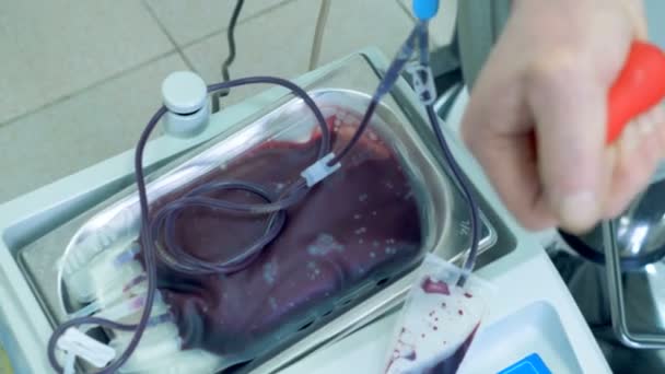 Moderne Maschine pumpt Blut in einen Beutel, während ein Patient in einer Klinik Blut spendet. — Stockvideo