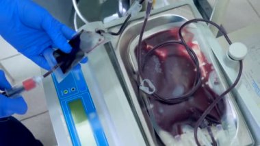 Hemşire pompalar kan tüpleri trasnfusion Merkezi'nde plastik bir torbaya.